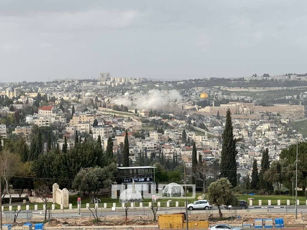 عيديت بار Idit Bar tweet media