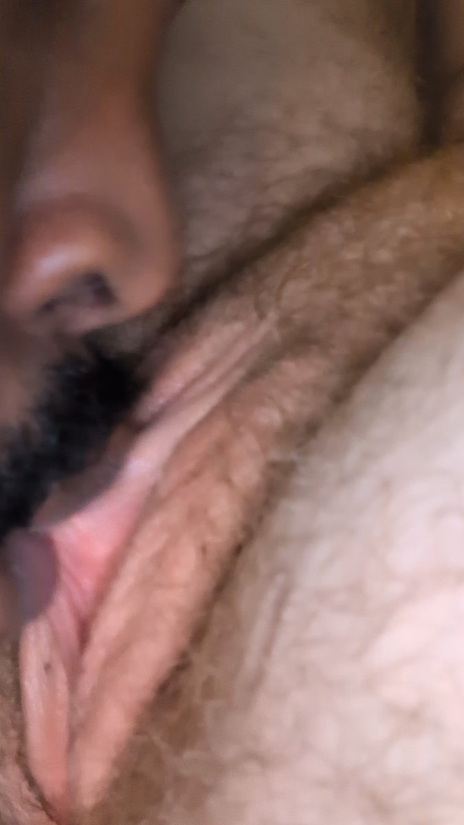 DOM TOP BREEDER tweet media