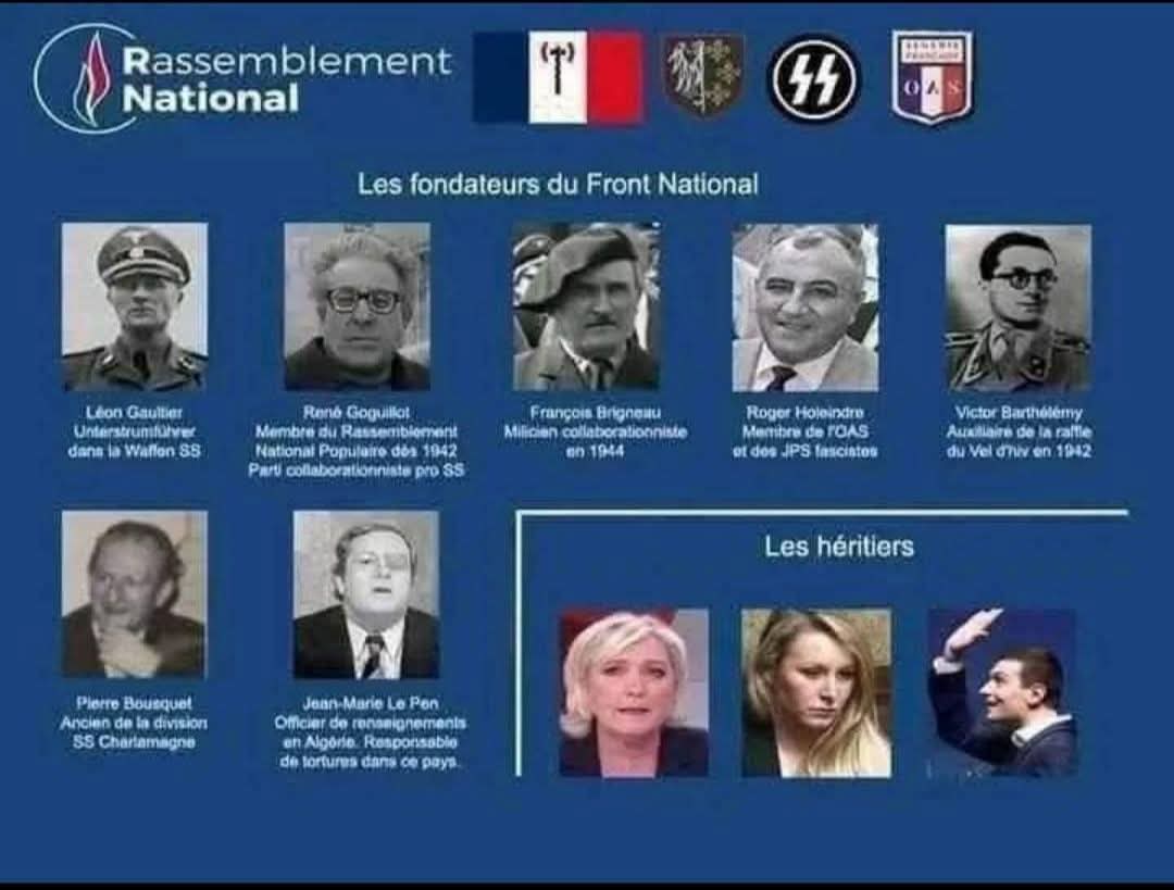 Paul Dohen 🐢🔺🍉 tweet media