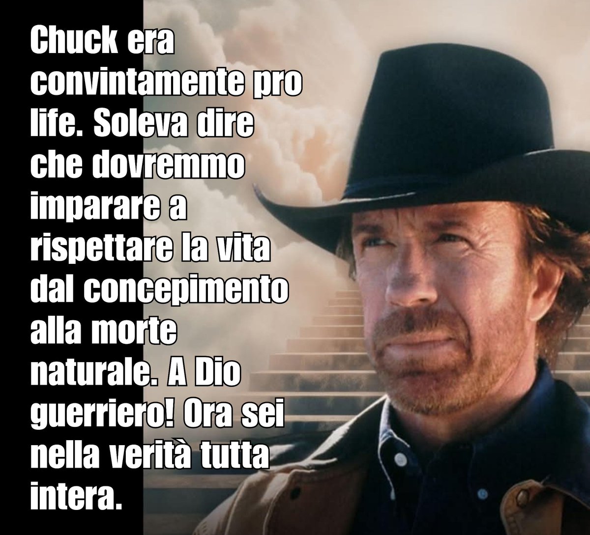 Simone Pillon tweet media