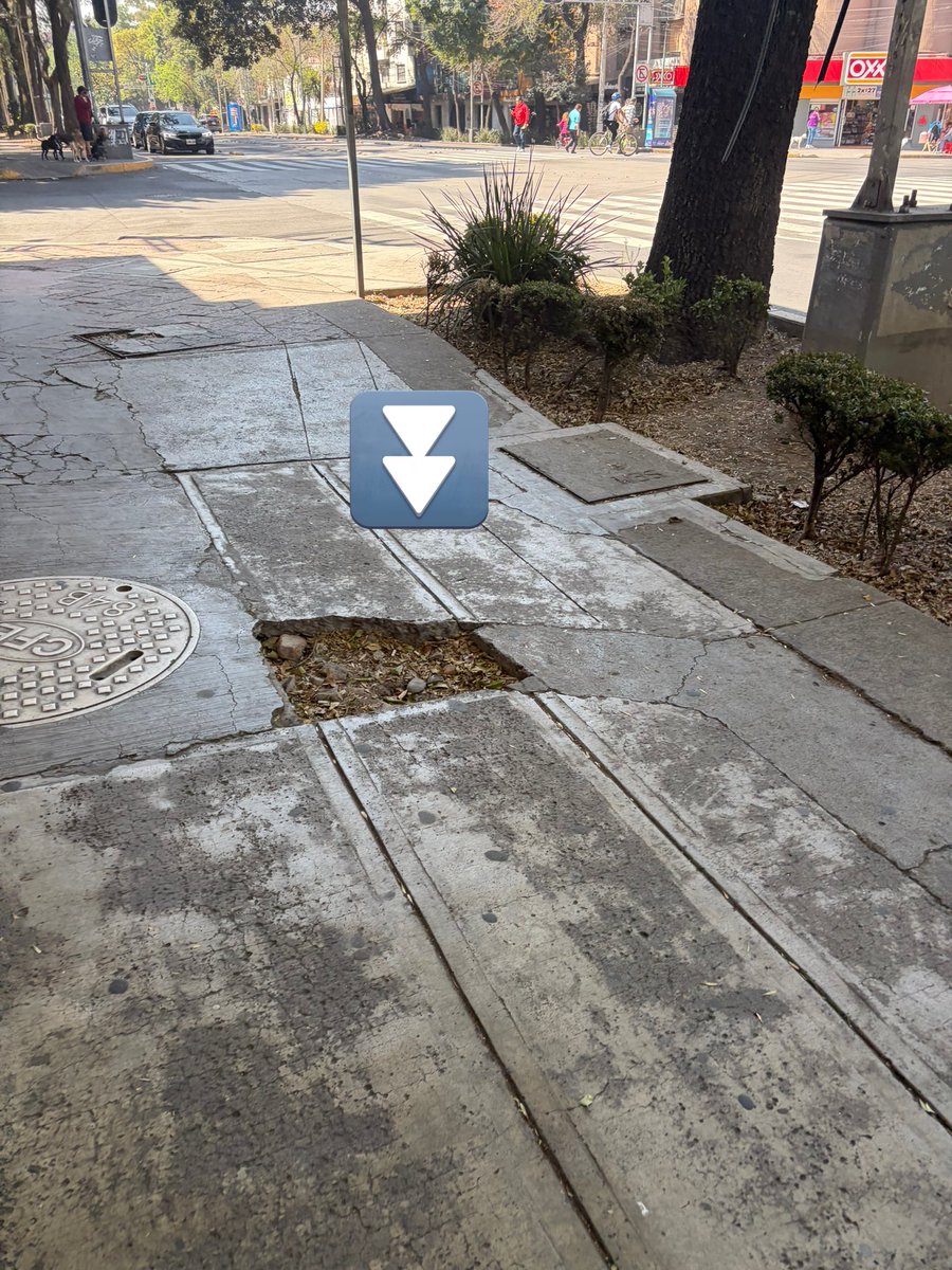 Reportandocdmx👀 tweet media