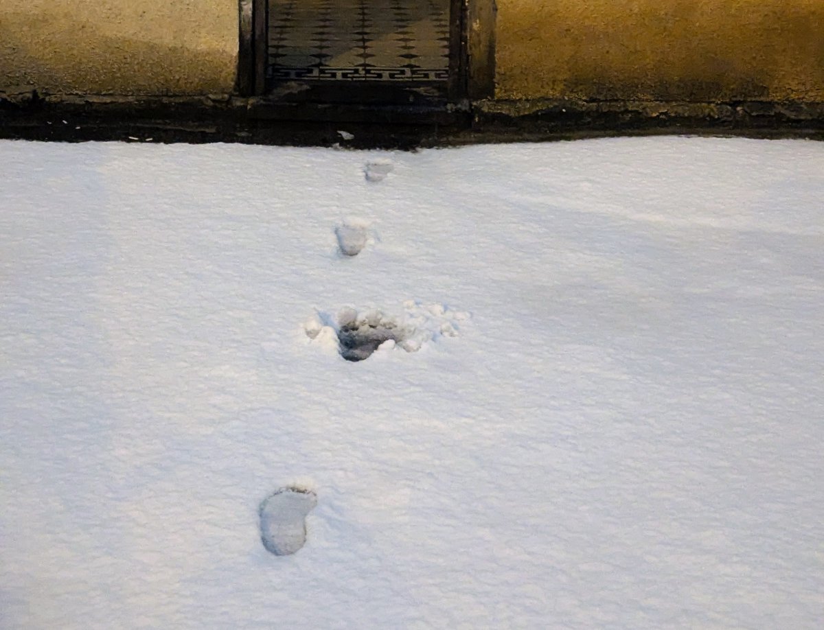 Things I see tweet media