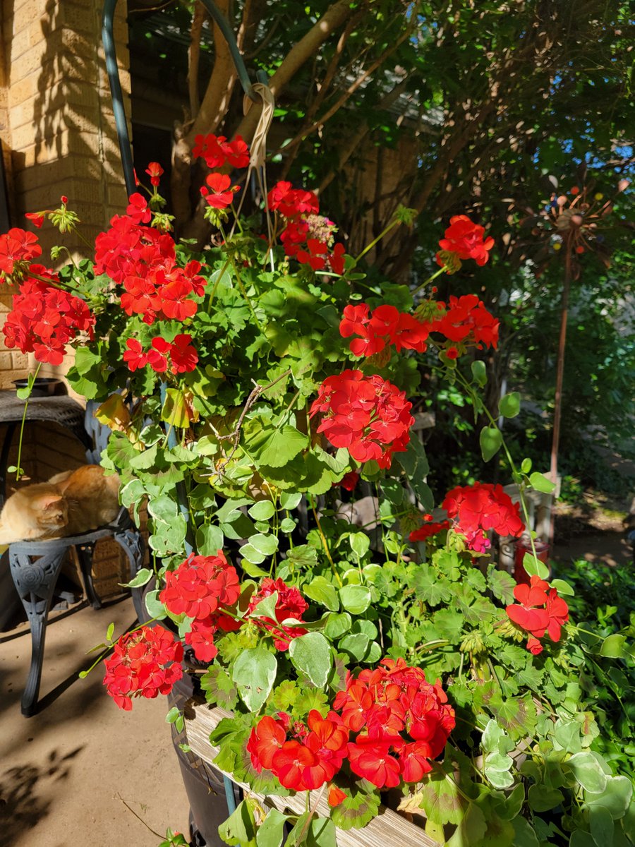 Mama Dukes tweet media