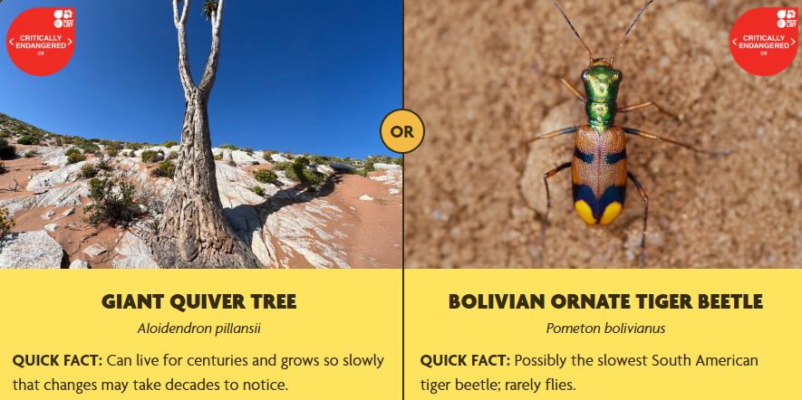 Botanic Gardens Conservation International tweet media