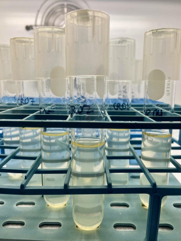 MIT EAPS tweet media