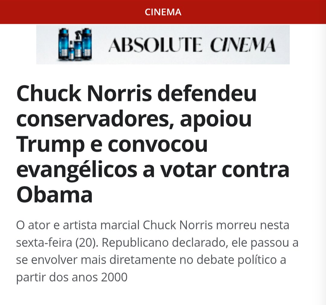 Fernanda Salles tweet media
