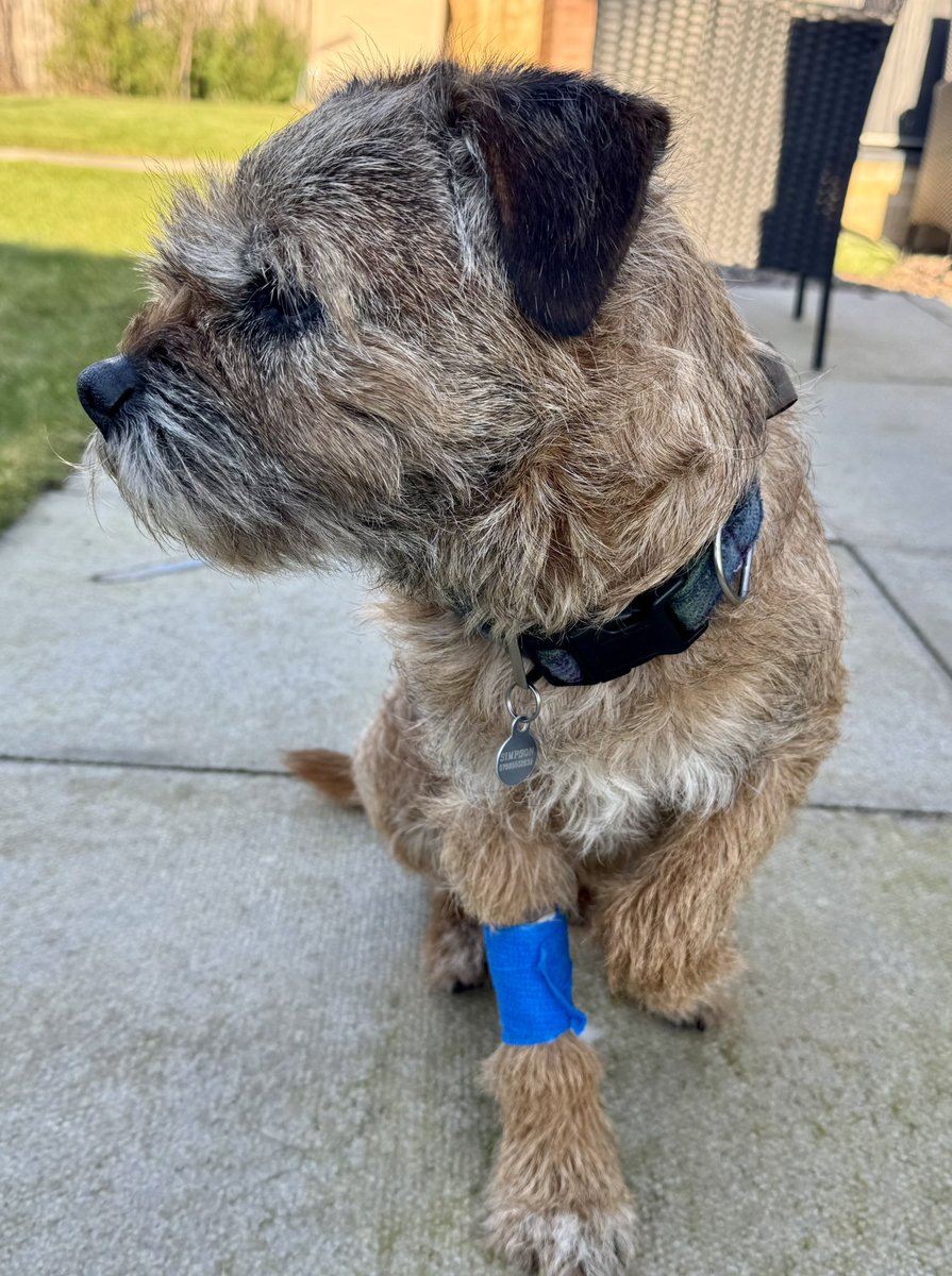 Lord Culter BT 🏴󠁧󠁢󠁳󠁣󠁴󠁿 Order of the IT tweet media