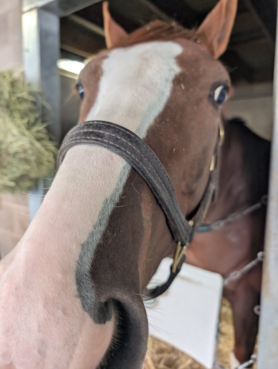 Hard Knocks Racing Partners tweet media