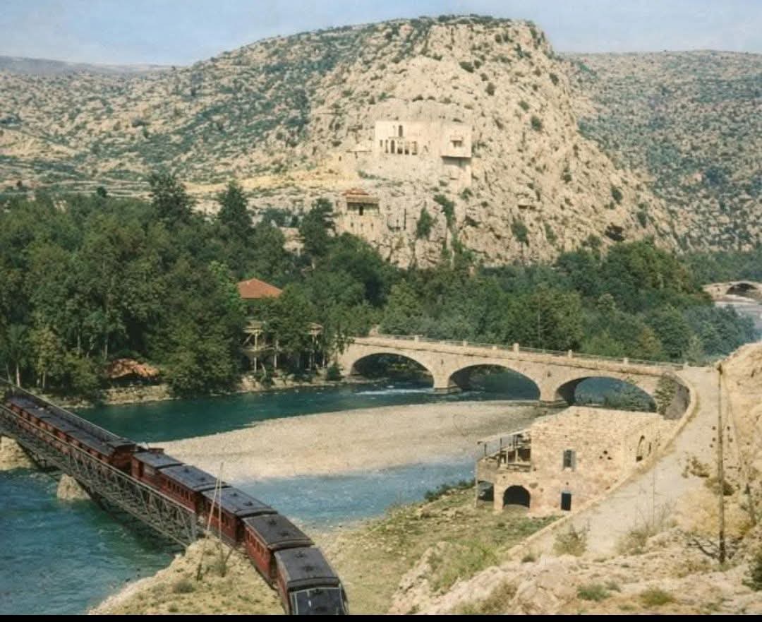 Imad Salamoun tweet media