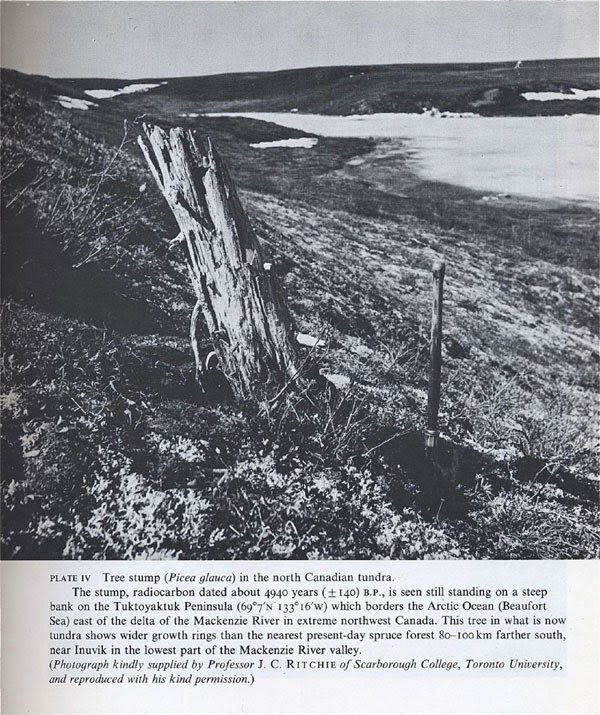 David Hilderman tweet media