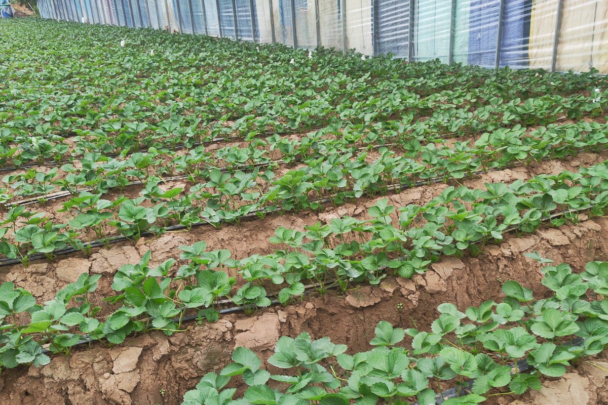 Homens com Atitude tweet media