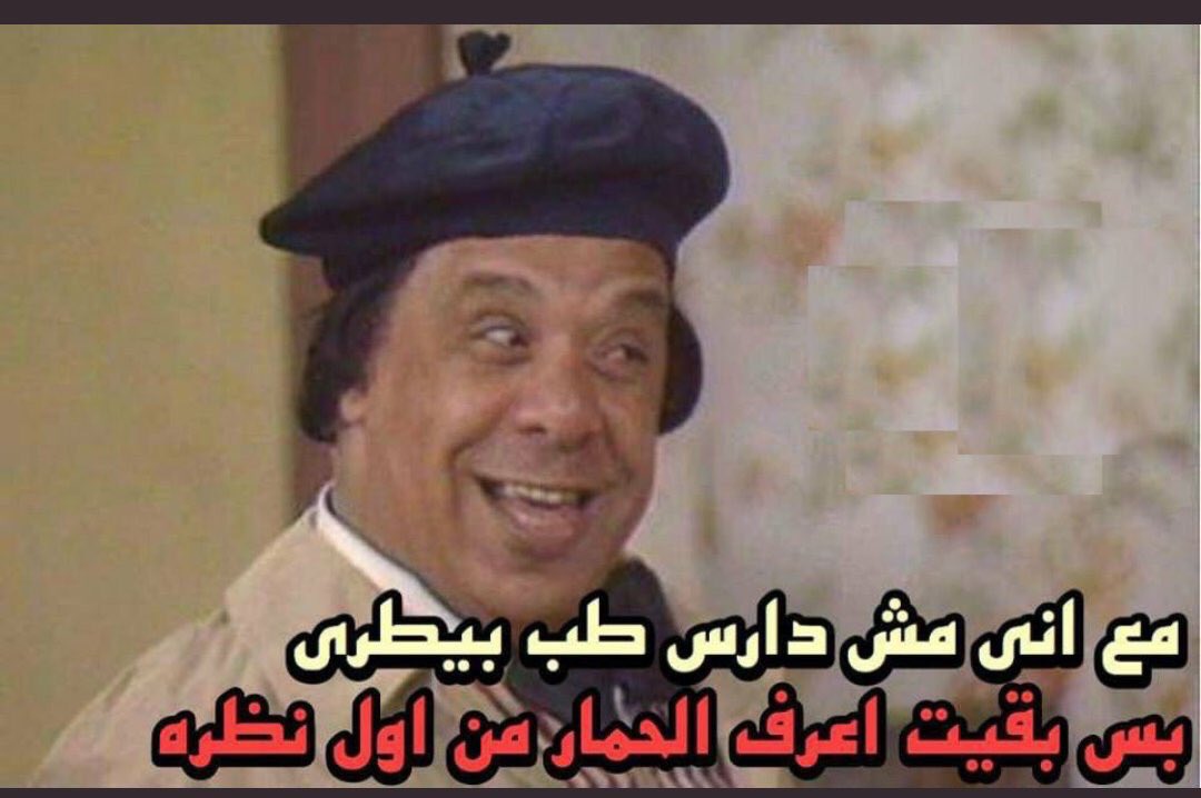 bandarN79's tweet photo. @ahmedsapry_ صدقوني مش عارف كيف اوصلكم المعلومه بشكل دقيق المهم بقولها واجري على رب العالمين 
اكتشفت ان اعًْبى مخلوق هو ابن فيفي عبده يبغى ومايكتفي بذلك بل يتفاخر انه اعْبى مخلوق 🤣🤣🤣🤣 https://t.co/XogLtRTBm3
