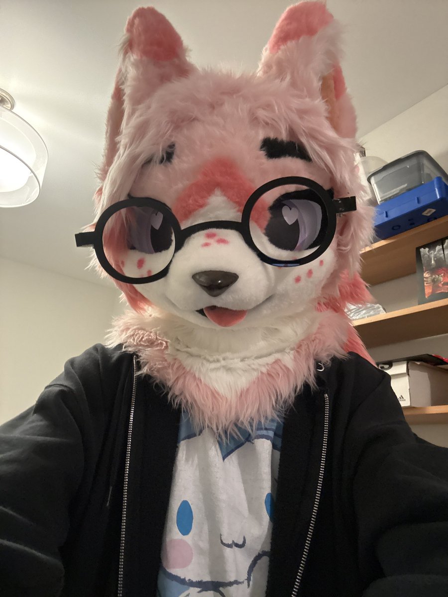 lyla 🐾🔜FWA tweet media