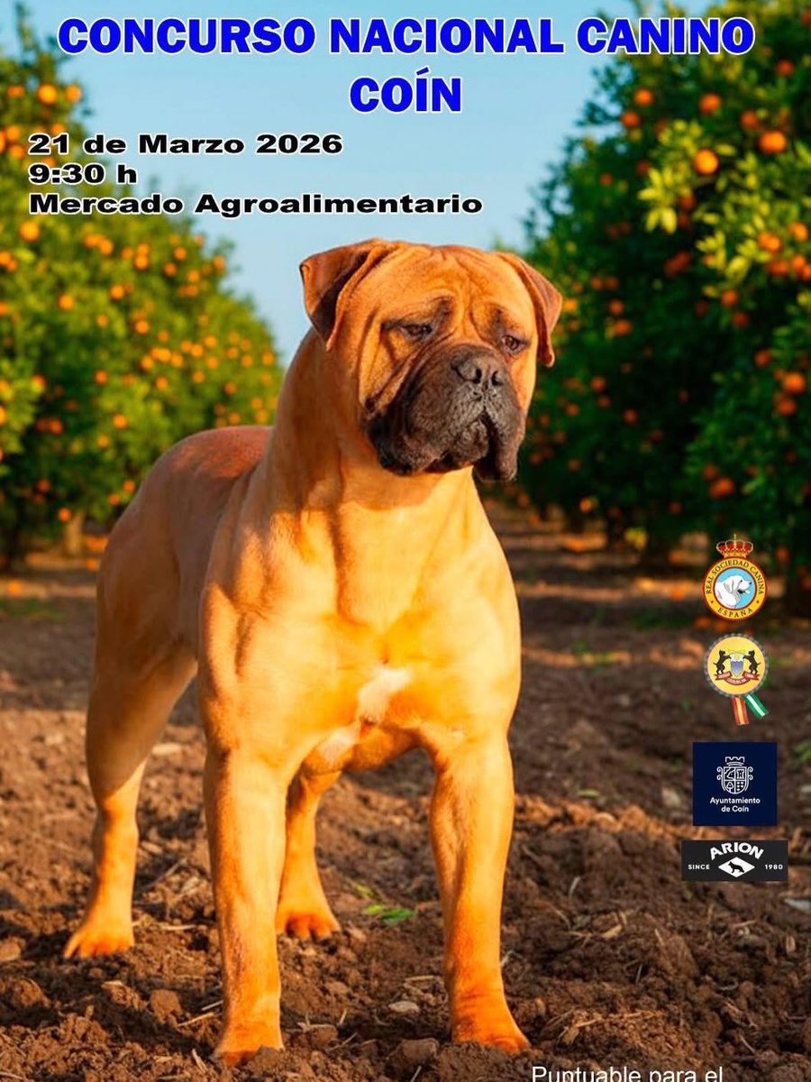 SocCaninaCSol's tweet photo. Nos vemos mañana en el Concurso Nacional Canino de Coin. @AytoCoin @malagaennoticia @malagactualidad @MalagaEP @101tvMalaga @Cultur4Malaga . @DisfrutaMalaga
@culturamalaga @7TVMalaga @DiarioSUR @malagahoy_es @opiniondemalaga @VdelGuadalhorce @gdrguadalhorce @GuiaDelOcioOf https://t.co/DXy5121tss