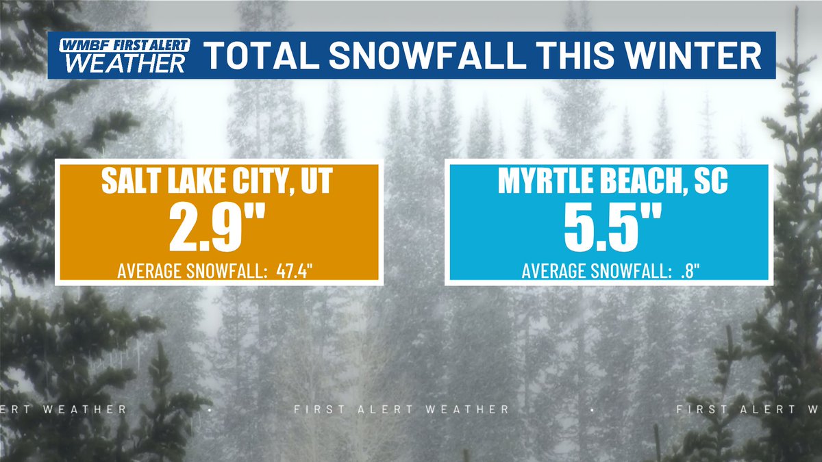 Jamie Arnold WMBF tweet media