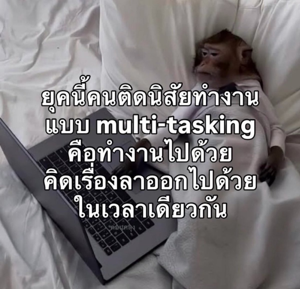 ช่างแม่ง🐰🏳️‍🌈 tweet media