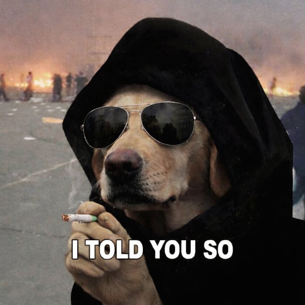 elznXBT | $DOG tweet media