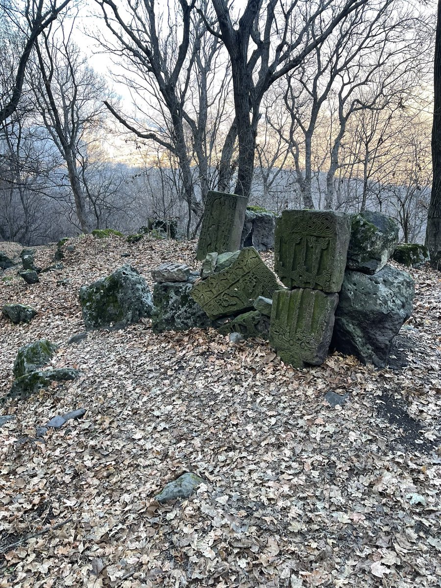 Ереванский Лесной tweet media