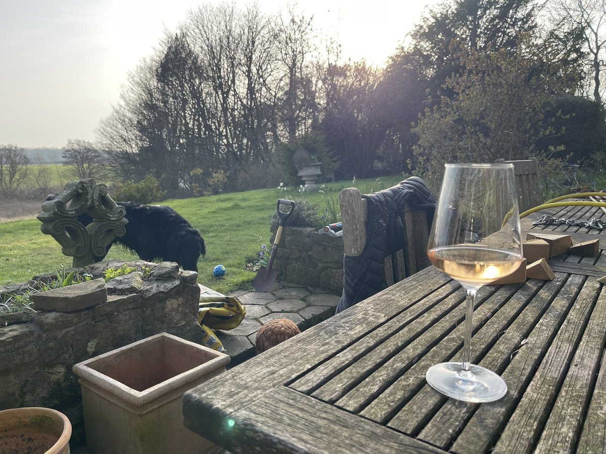 Anna Batchelor tweet media