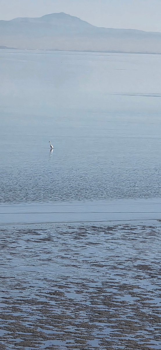 Courtney Marchesani tweet media