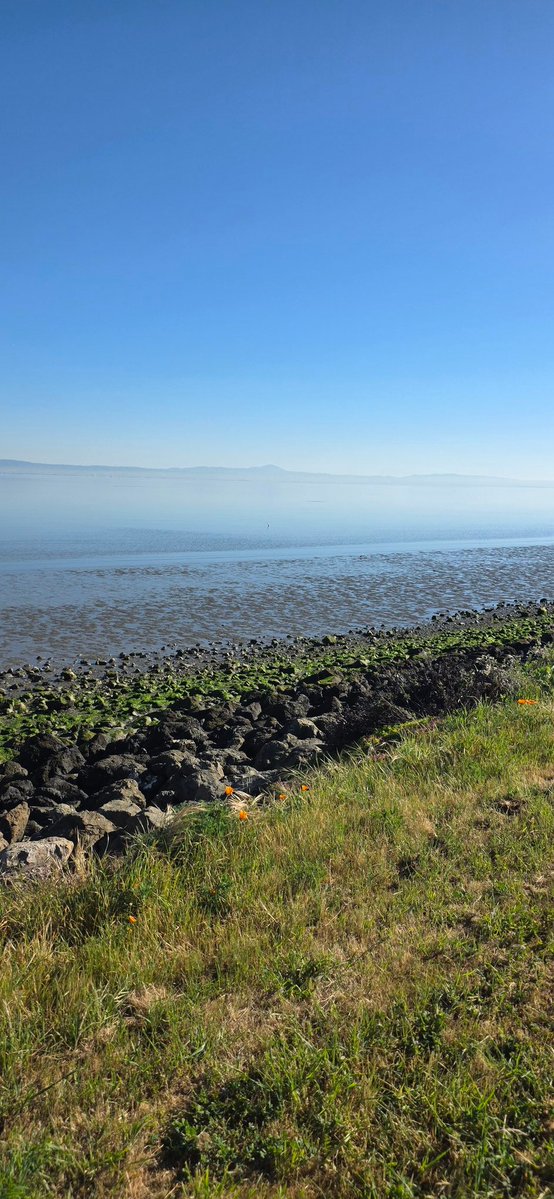 Courtney Marchesani tweet media