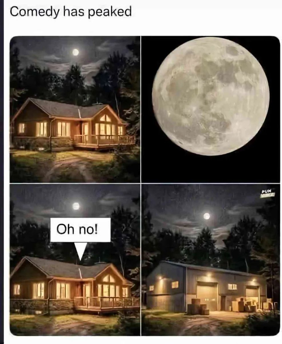 Just Sarah tweet media