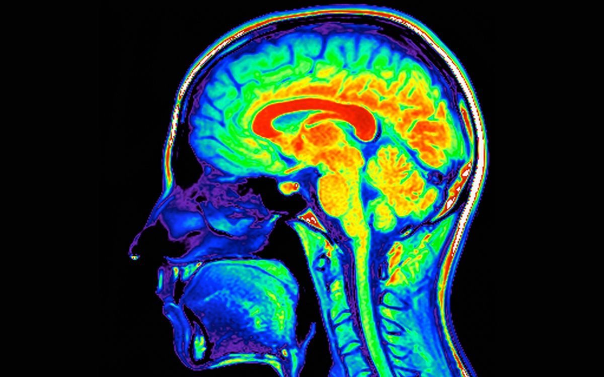 limitlesstack tweet media