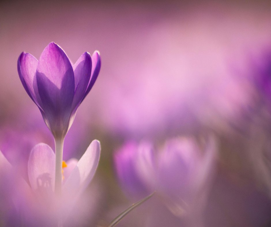 SLCFaculty417 tweet media