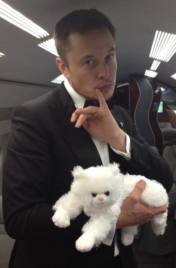 Not Elon Musk tweet media