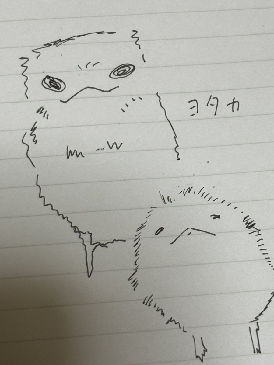 ❌ライム🐟 tweet media