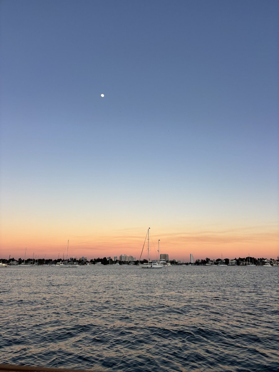 luchi ¹ tweet media