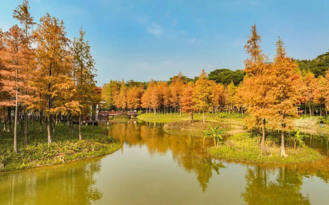 james klinger tweet media