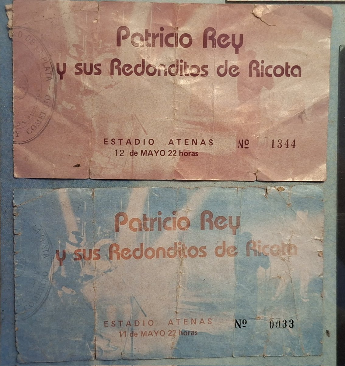 Patricio Bateman tweet media