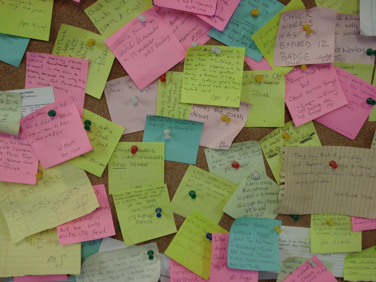 Todd Helmus tweet media