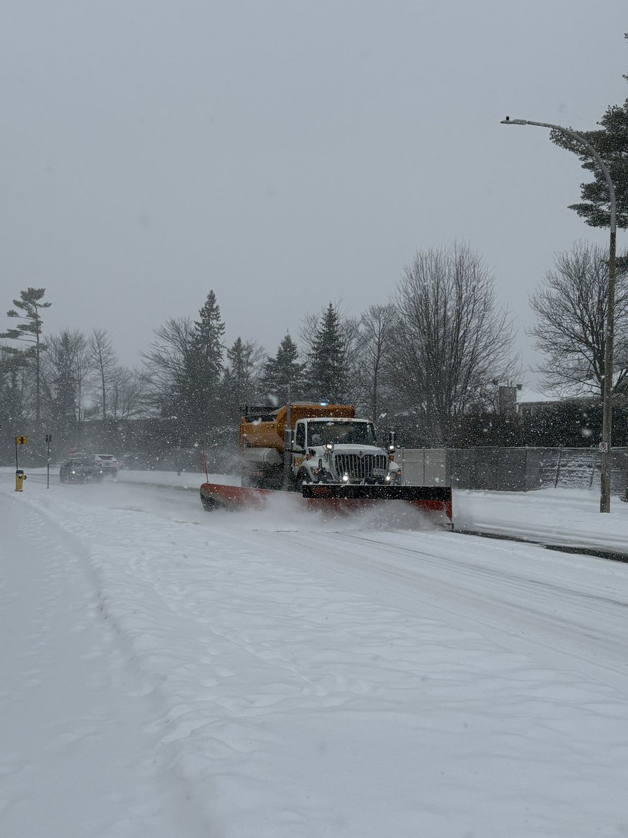 Nathalie Roy (she/her)🇨🇦 tweet media