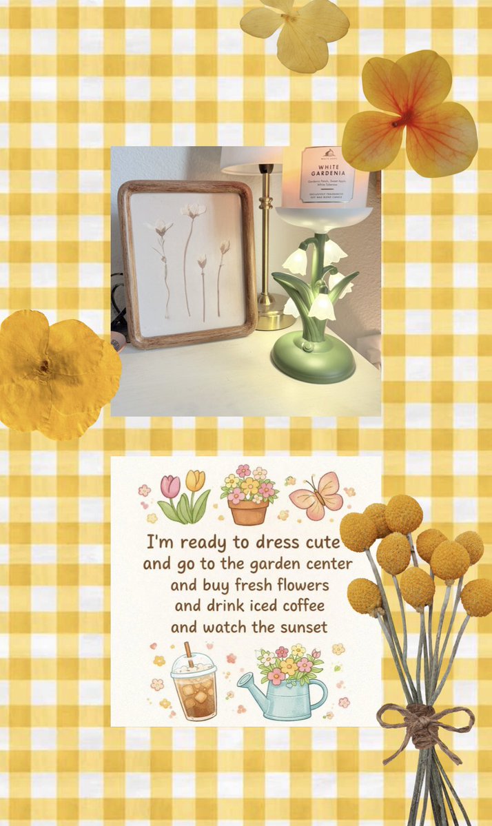 pumpkin ₊˚⊹♡ tweet media