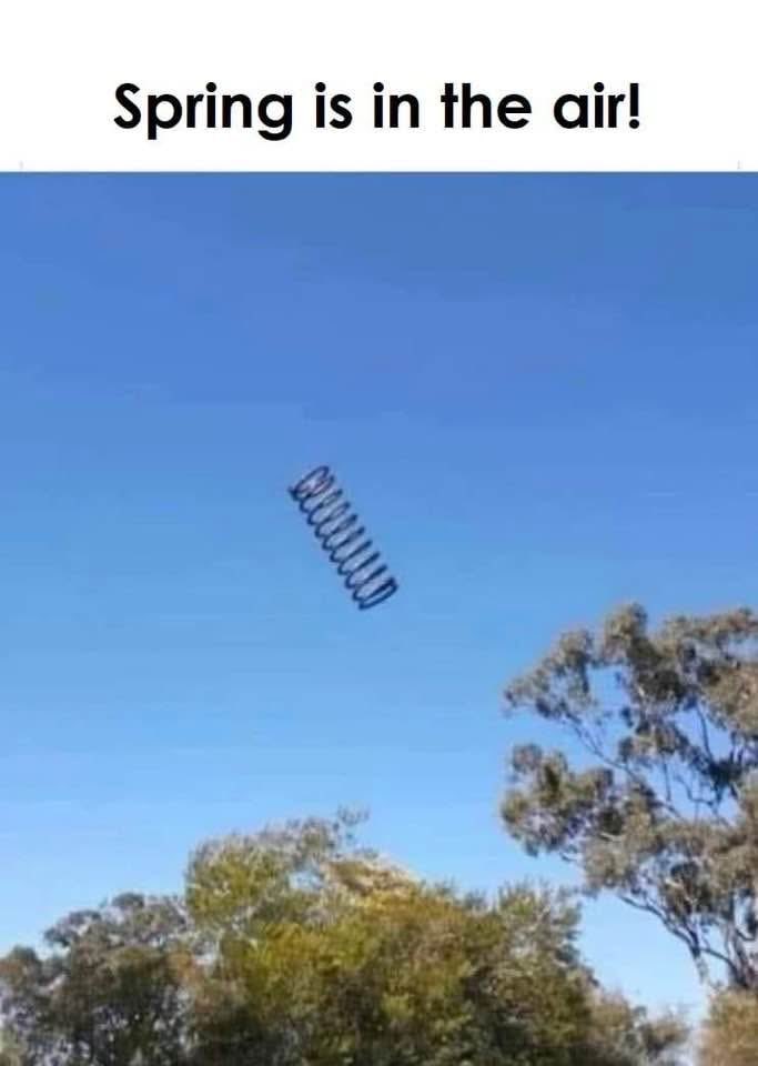 Heather Jordan 🌸✝️🩸👀👂🎺 tweet media