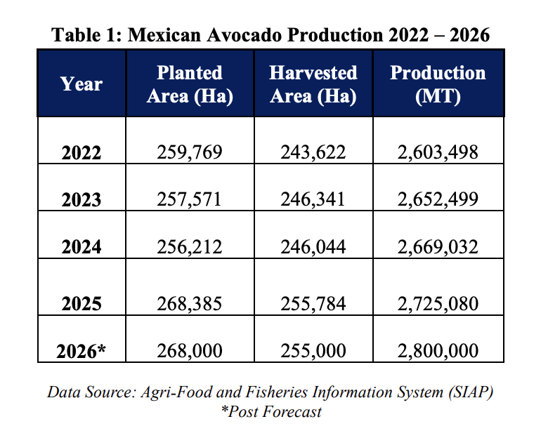 FarmPolicy's tweet image. 1/ Post forecasts #Mexico's #avocado production in calendar year (CY) 2026 at 2.80 MMT, a 3% increase from 2025.

From the @USDAForeignAg: tinyurl.com/2puasnpd