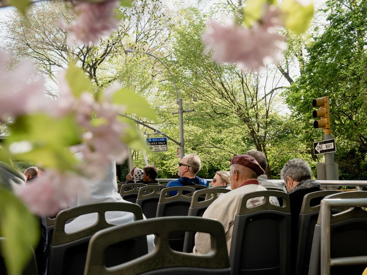 Happy first day of spring 🌸 We can't wait for New York City to turn into a garden of flowers!