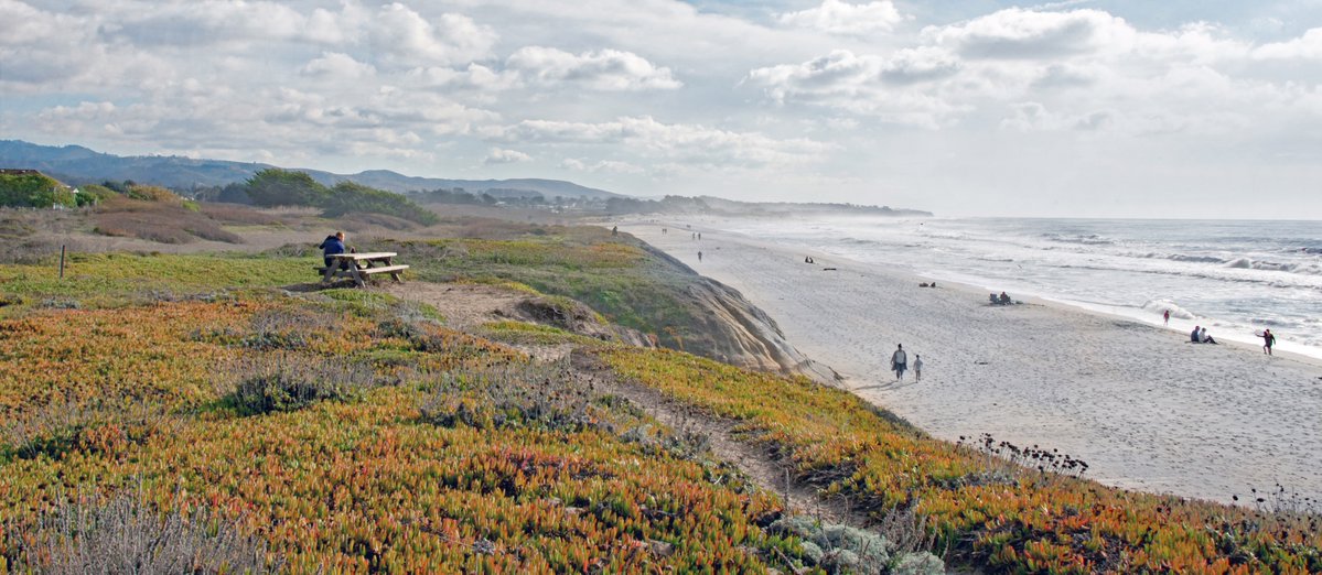 County of San Mateo tweet media