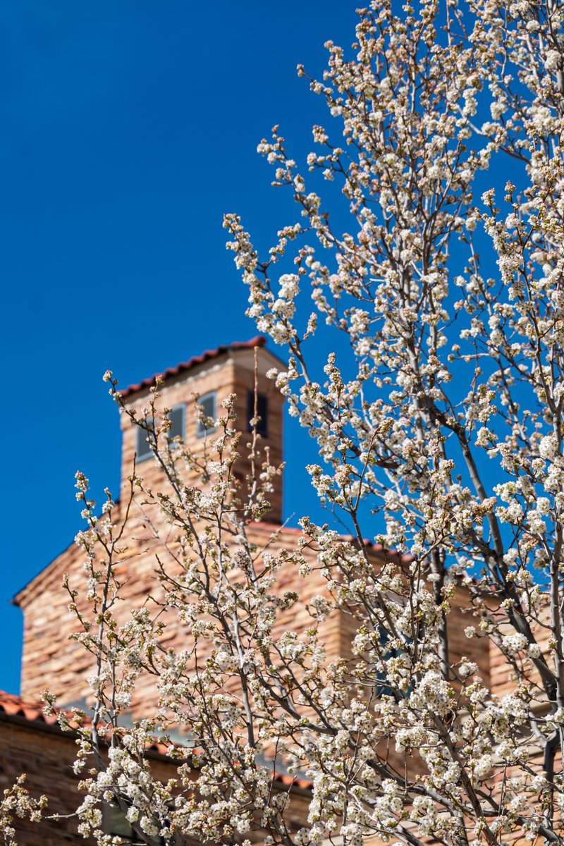 CU Boulder 🦬 tweet media