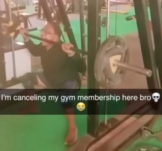 york 🧛♀️ tweet media