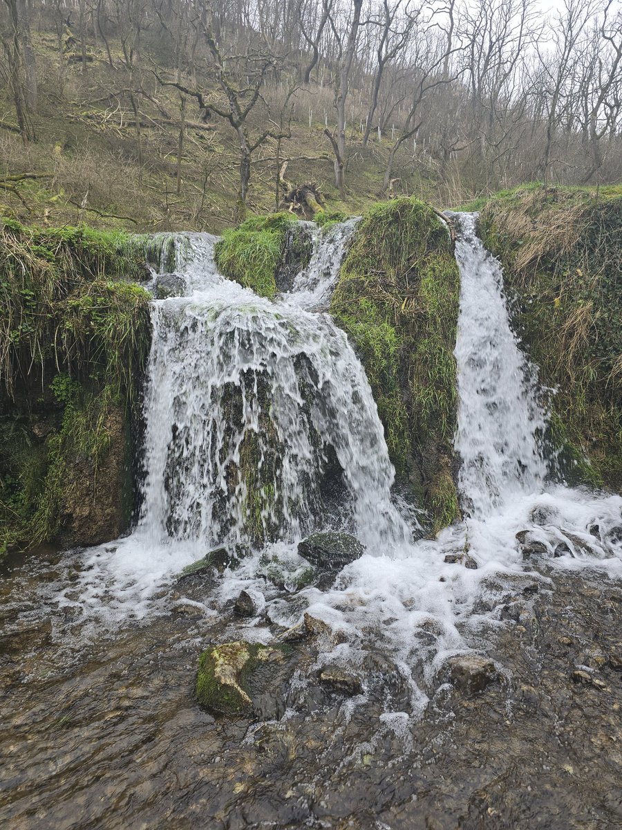 #WeDoGrass Ian tweet media