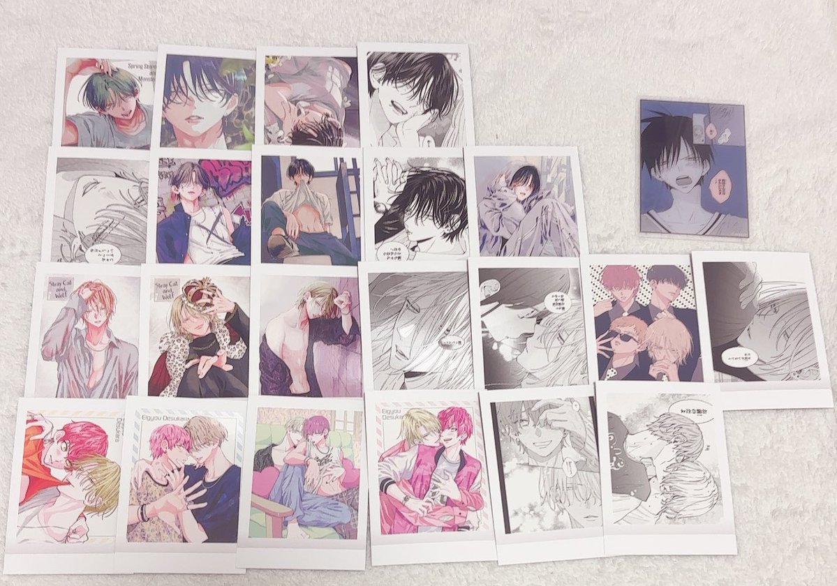 パンダ tweet media