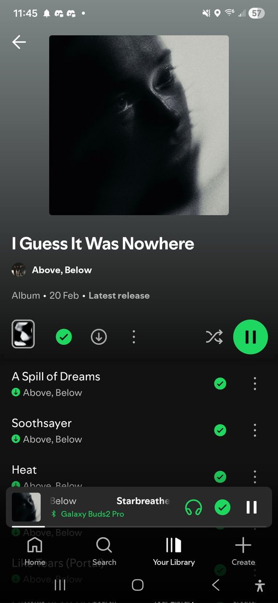 Trev🥀 tweet media