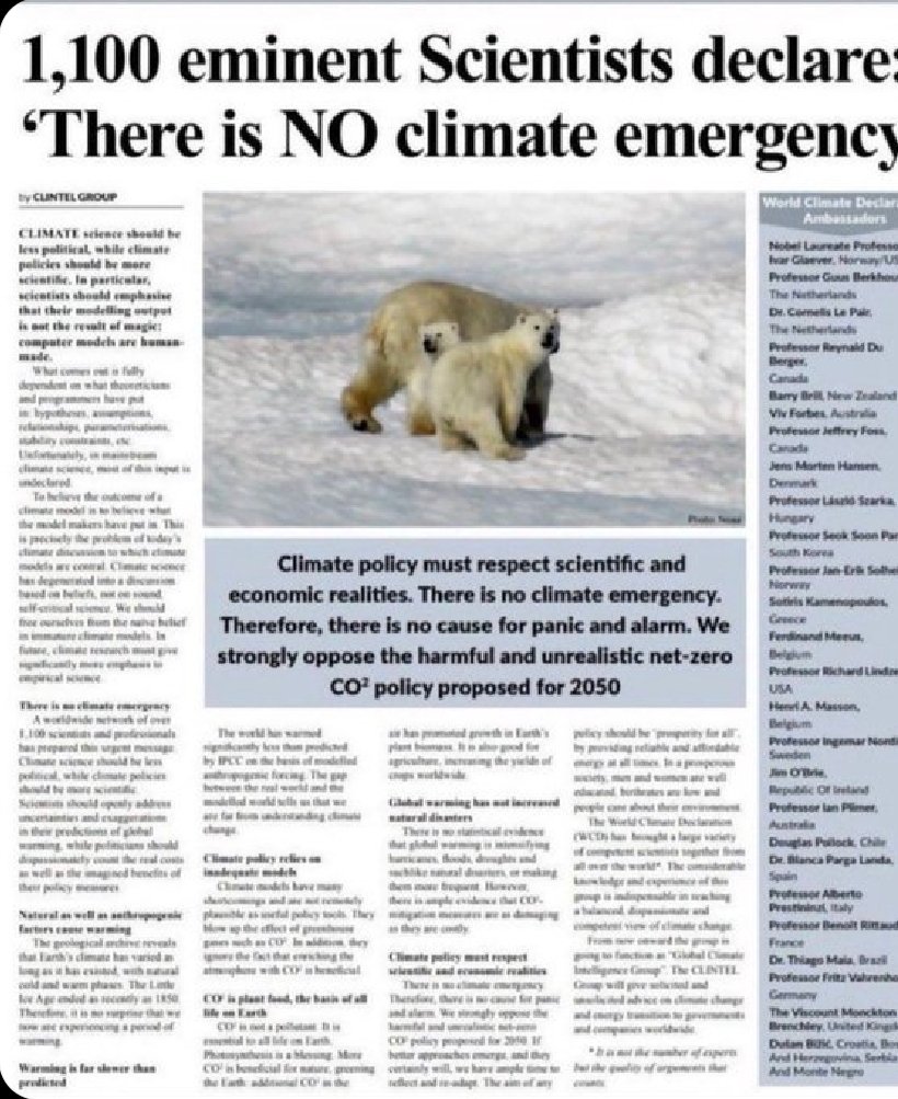 David Hilderman tweet media