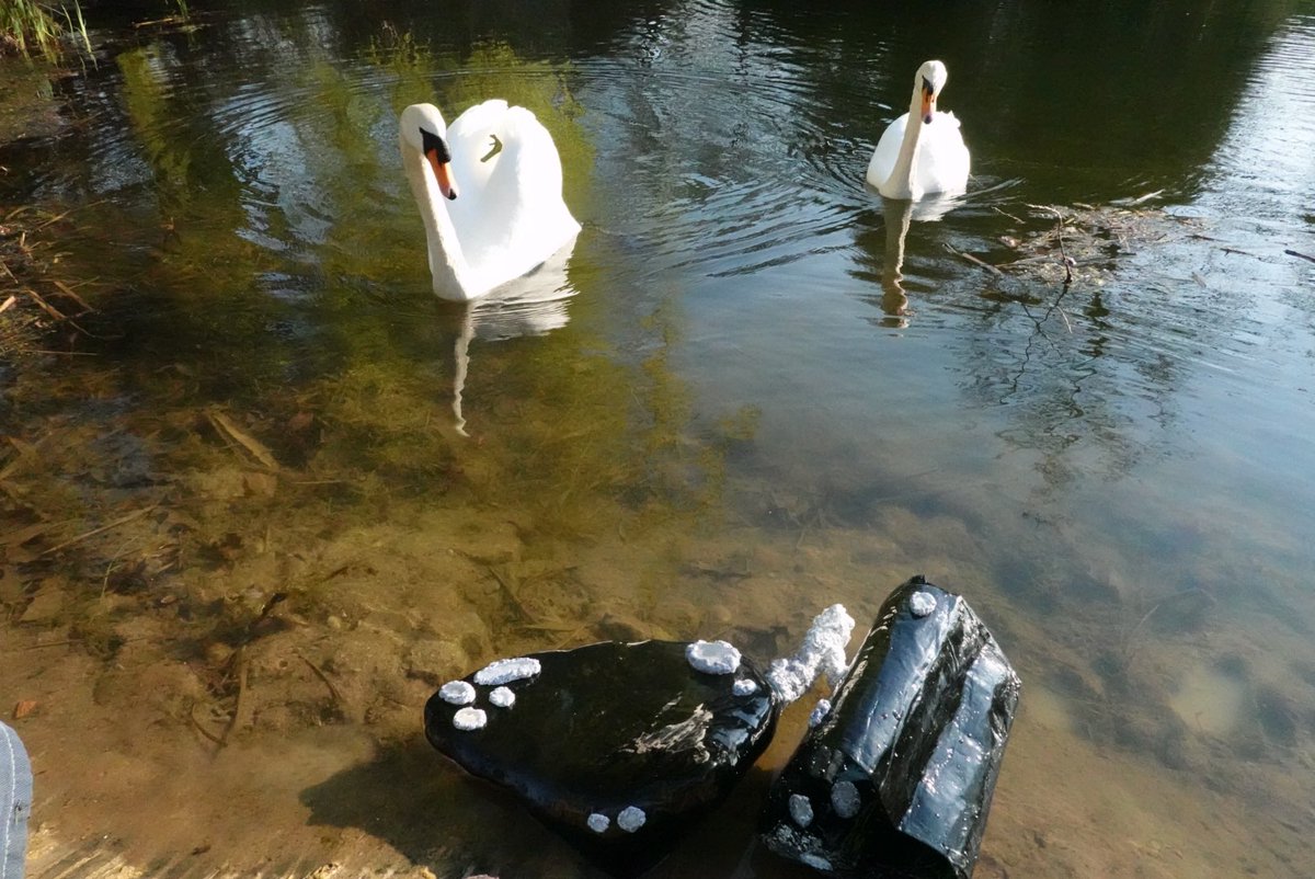 파르페✨🌈 tweet media