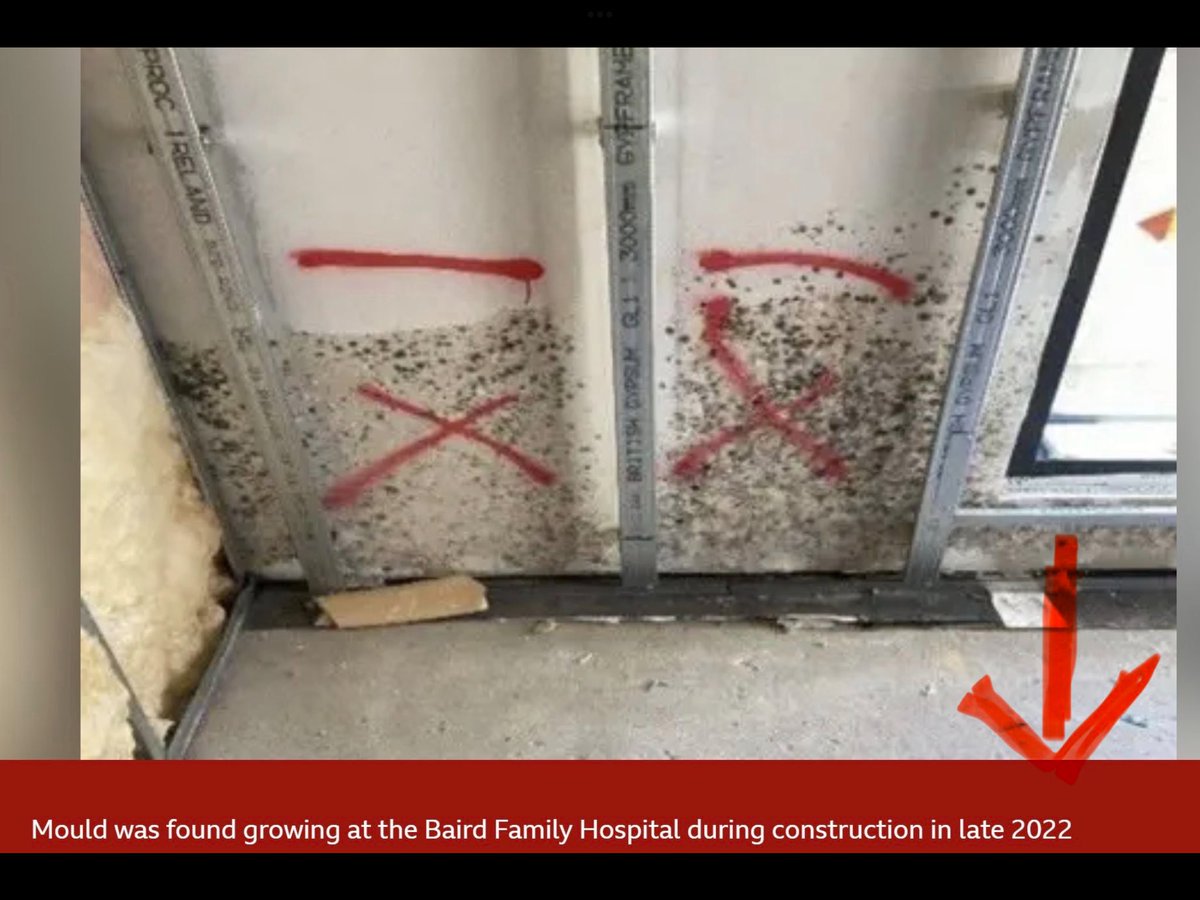 🏴Sheila McKenzie🏴 tweet media