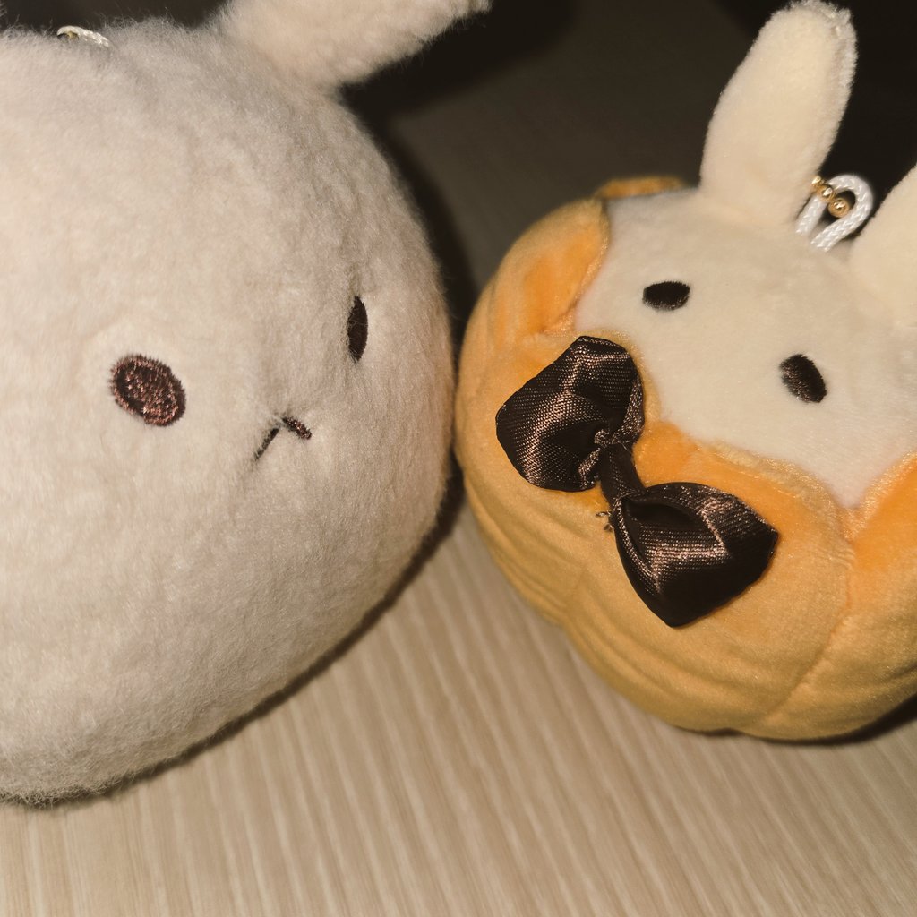 mochida🍀 tweet media