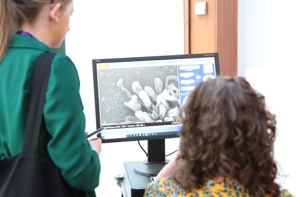 Research in Schools tweet media